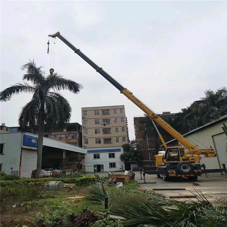 费县汽车吊出租多少钱？全面解析与市场行情